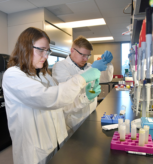 Researchers add the powdered hemp to a solution for analysis with an ultra-high-pressure liquid chromatography machine.