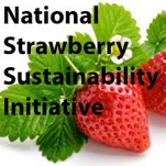 Strawberry Sustainability Initiative