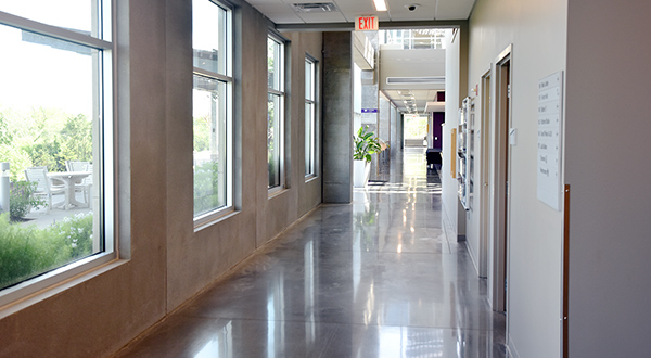 Hallway (First Floor)