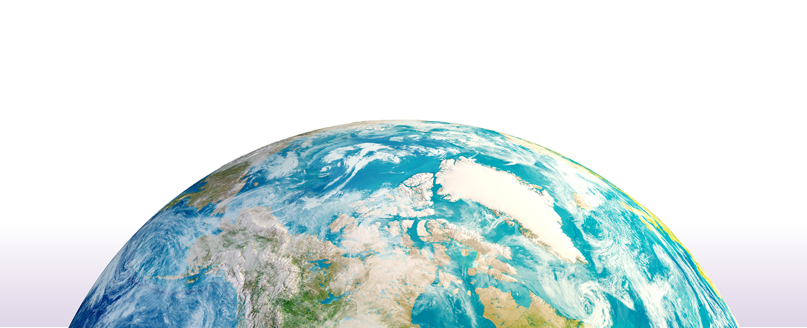 One Health Newsletter banner
