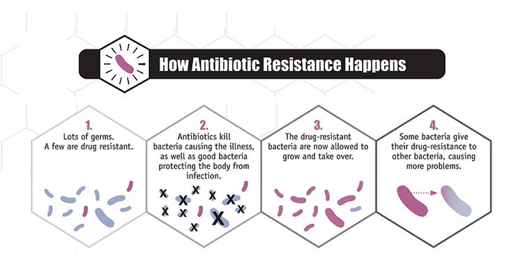 Antibiotic Resistance diagram