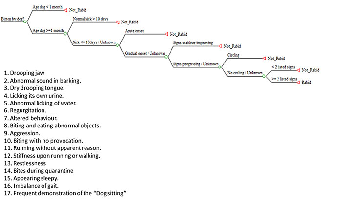 Rabies Status of a Biting Dog