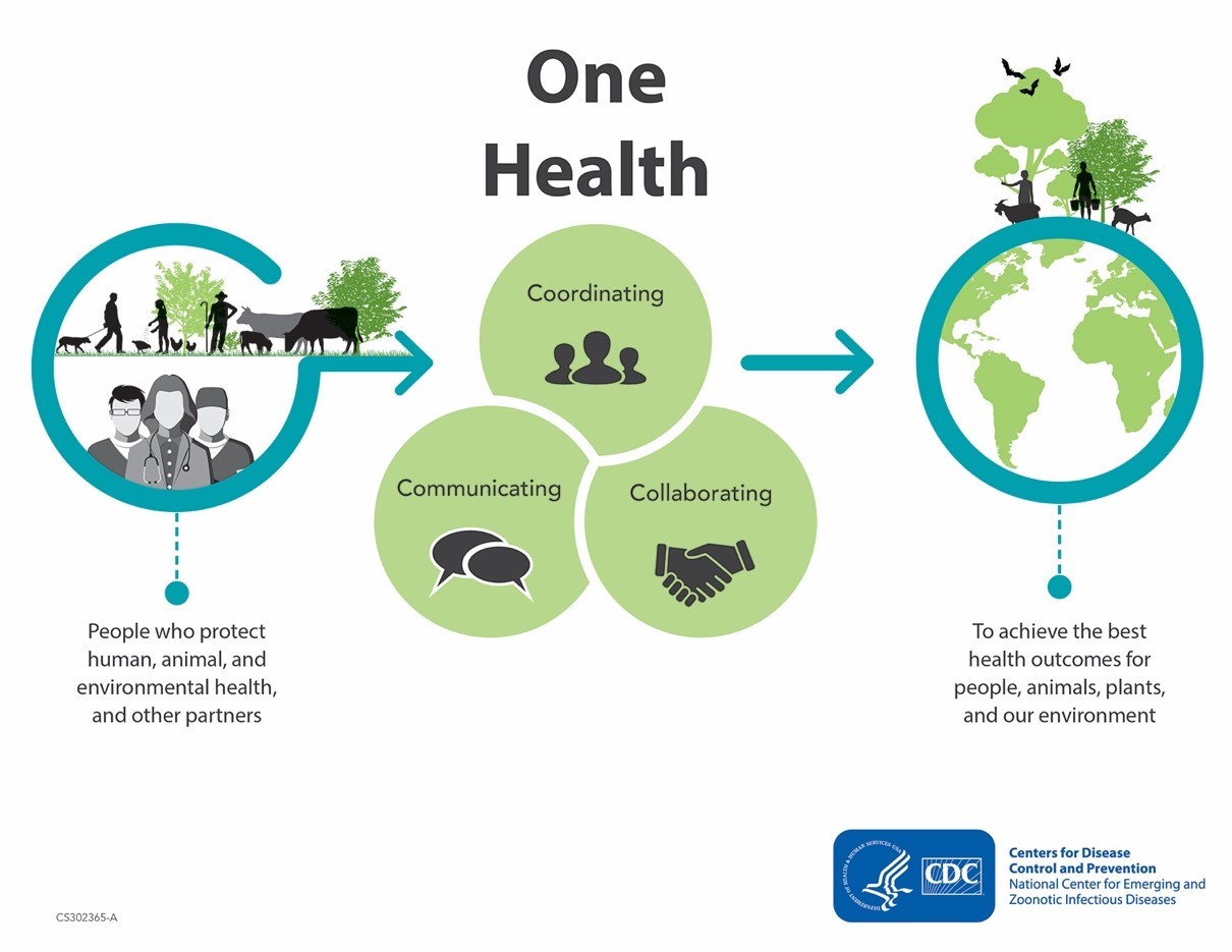 Foundation of One Health