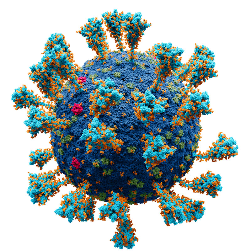 SARS-CoV2 particle