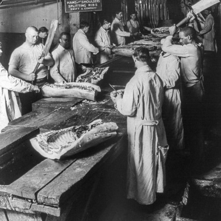 A hog being butchered at Swift & Company