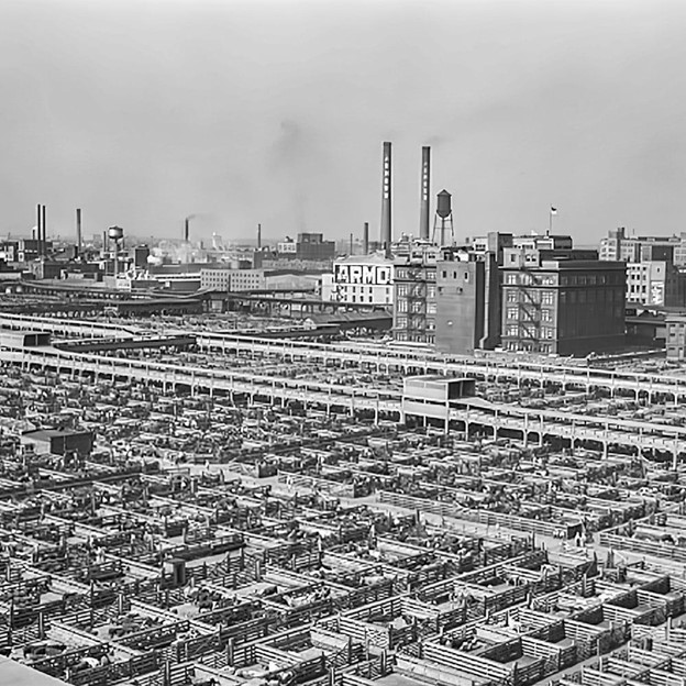 Stockyard pens covered a square mile of Chicago during its peak circa 1924.