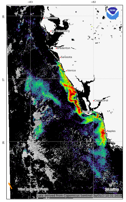 Hourly Red Tide Location for Florida’s Gulf Coast (Area) 