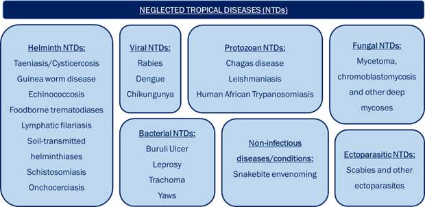 Neglected tropical diseases by category, according to the World Health Organization’s classification.