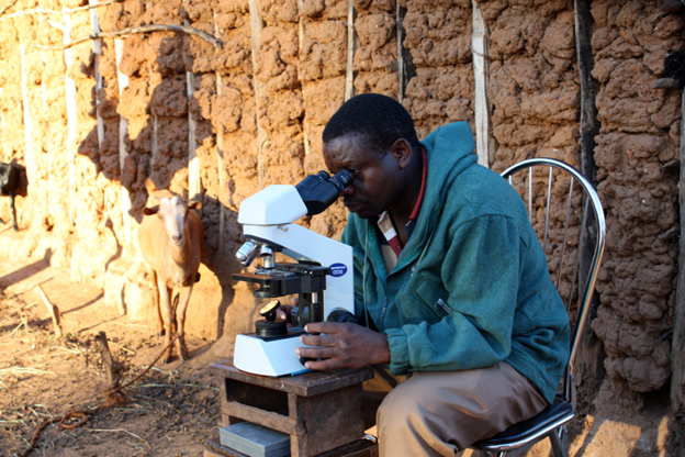 Man looking into microscope. 