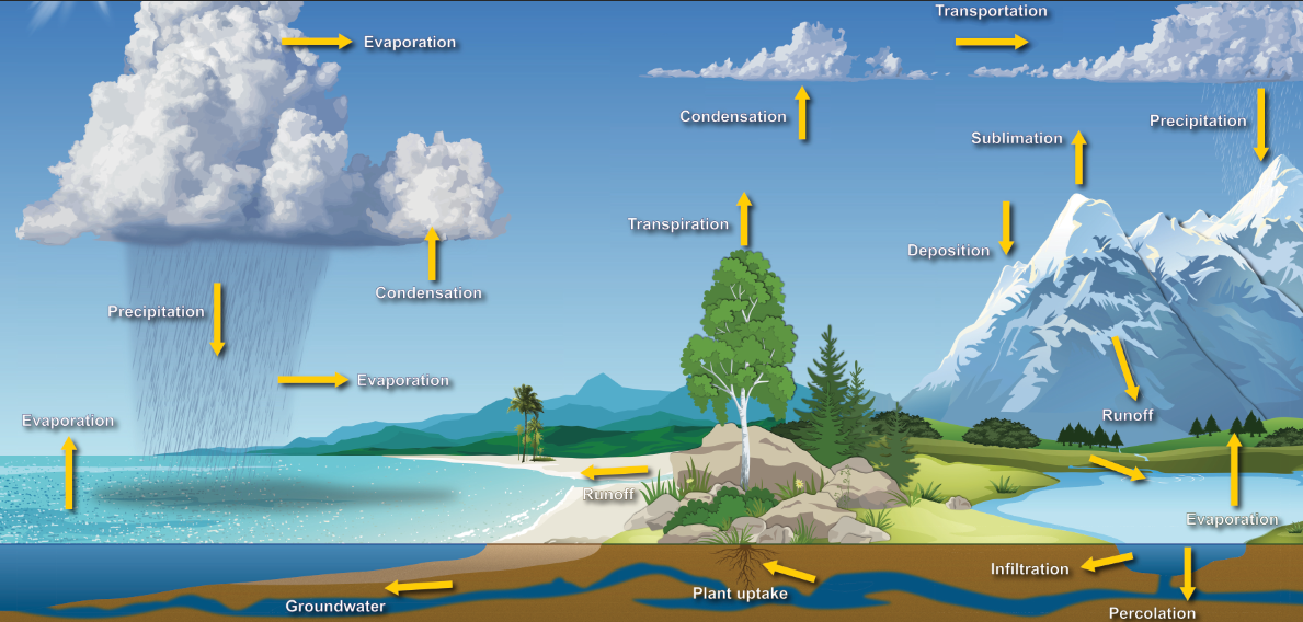 The Water Cycle