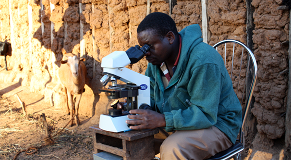 Man looking through a microscope. 