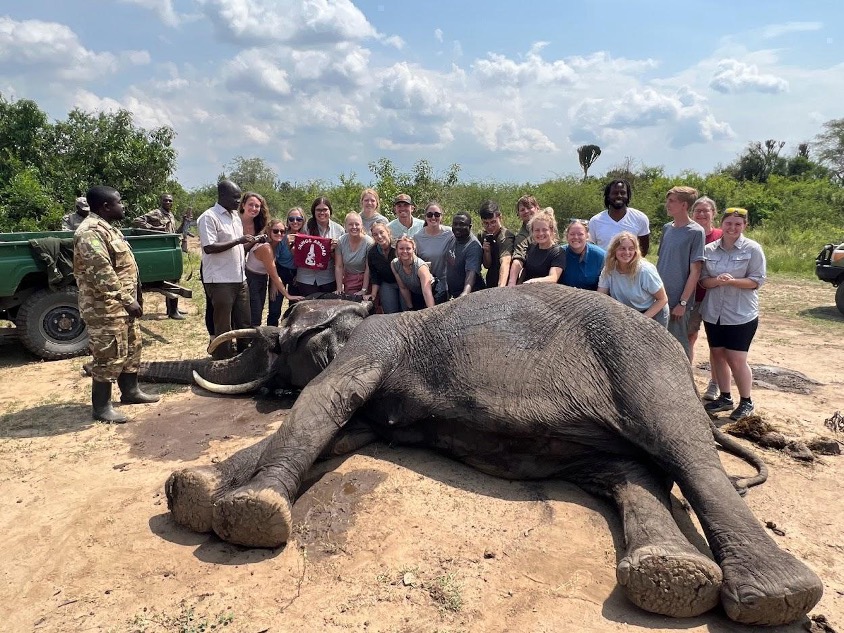 Students pose after removing a snare from an elephant.