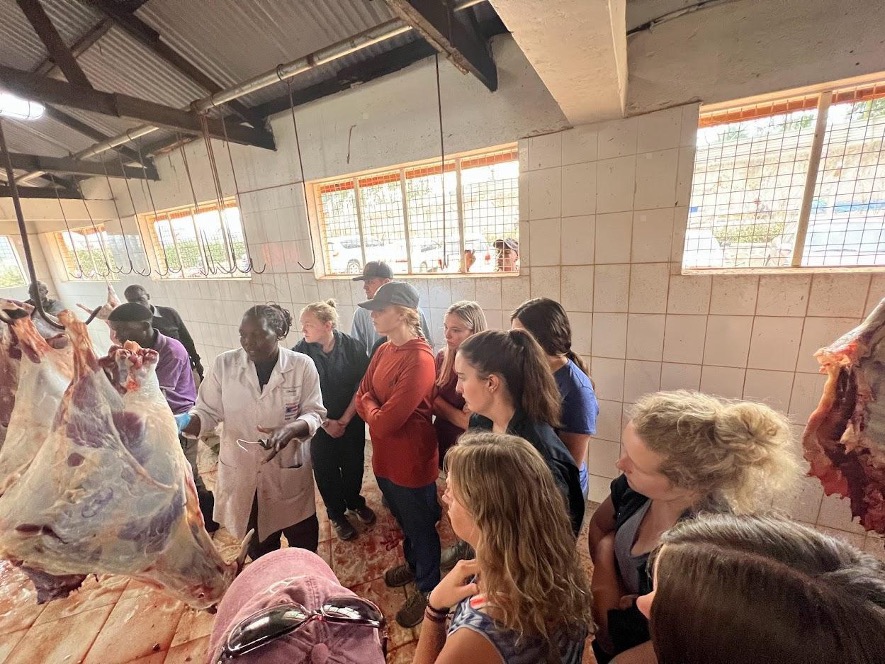 Veterinary students observe meat inspection and slaughter procedures alongside a professor from Makerere University at a local abattoir in Uganda.