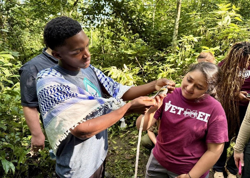 Sample and data collection from regional birds as part of a field exercise.