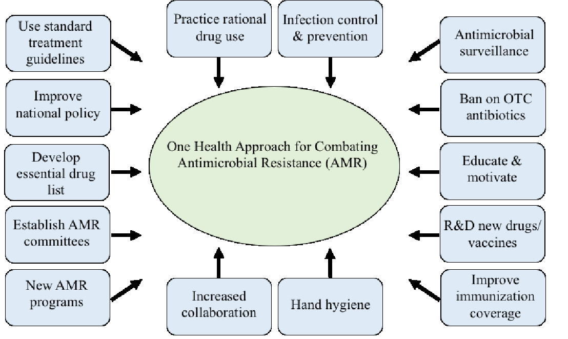 One Helalth Approach Diagram