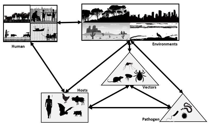 The Pathogenic Complex 