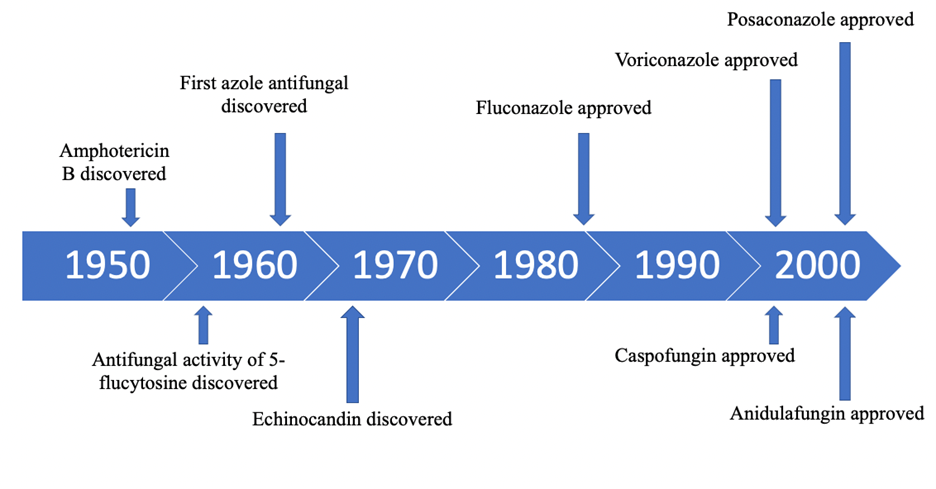 global antifungal timeline