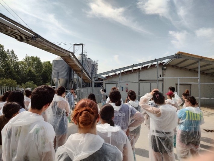 Students visiting a poultry farm 