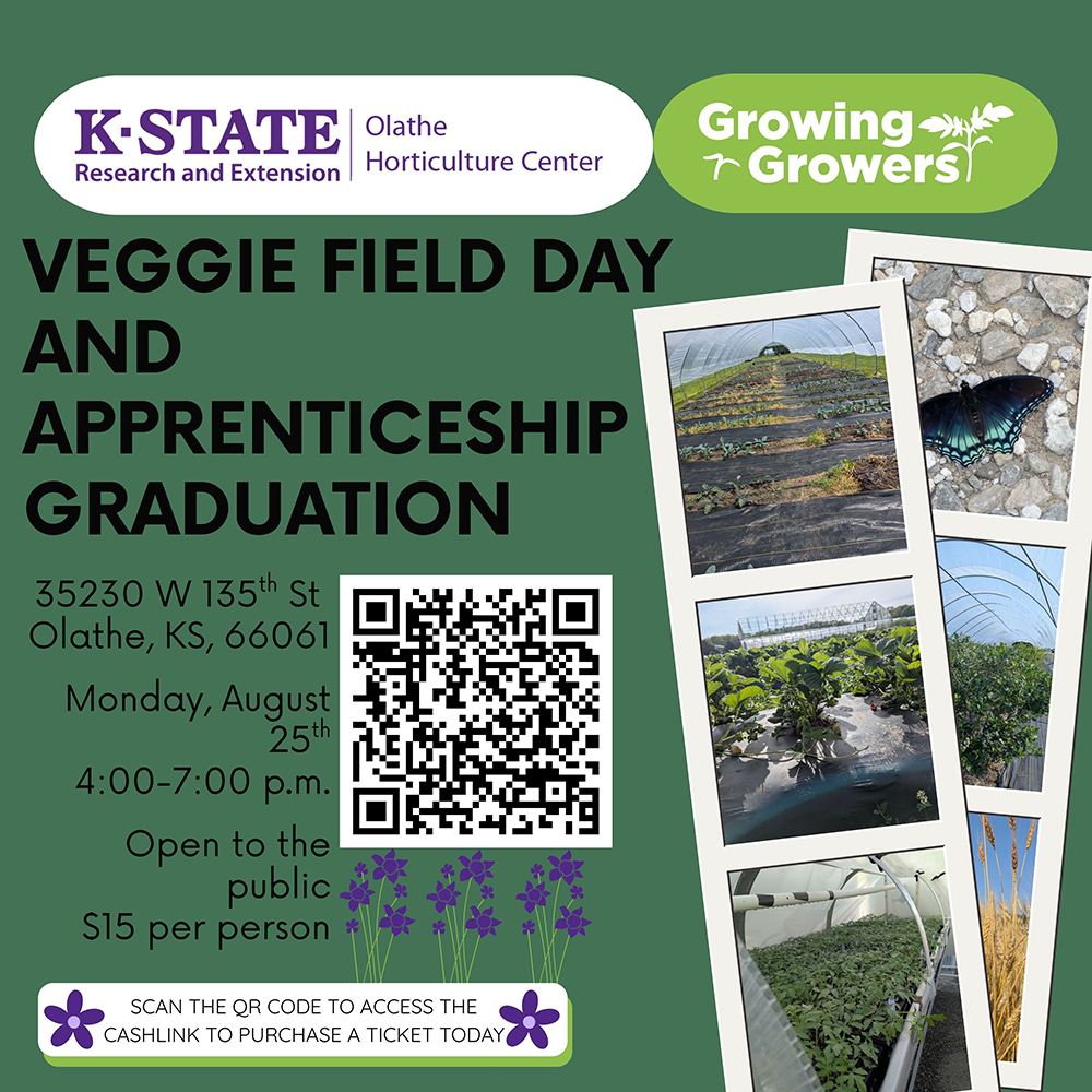 Field Day graphic.